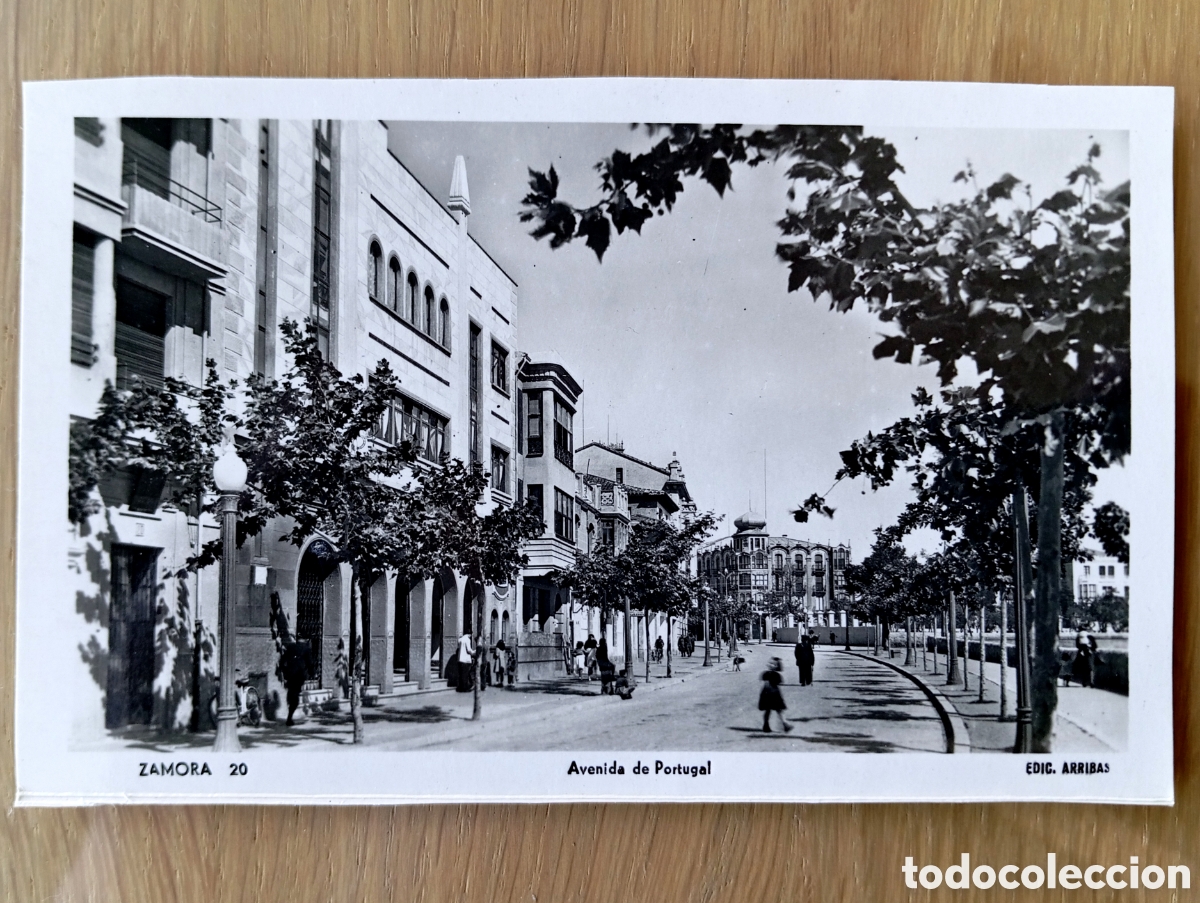 Postales: POSTAL ZAMORA AVENIDA DE PORTUGAL ARRIBAS 20 SIN CIRCULAR