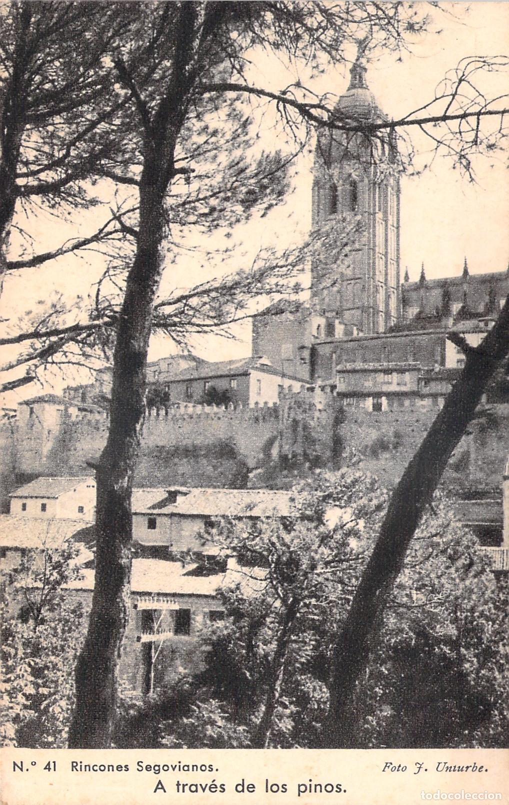 Postales: Postal Catedral de Segovia entre Pinos - Rincones Segovianos