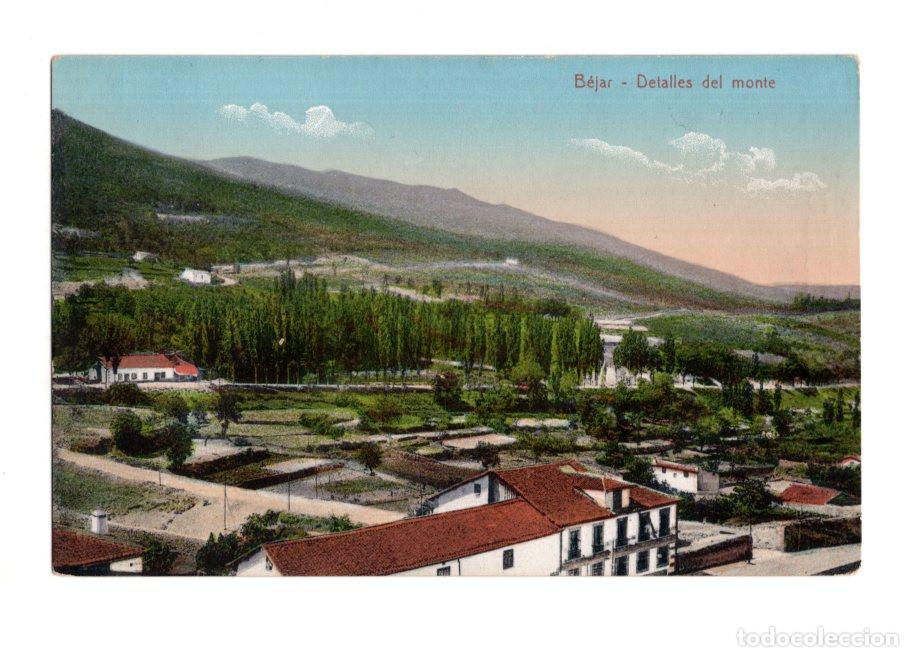 Postales: B&Eacute;JAR.(SALAMANCA).- DETALLES DEL MONTE. ED. HIJO DE DANIEL R. ARIAS