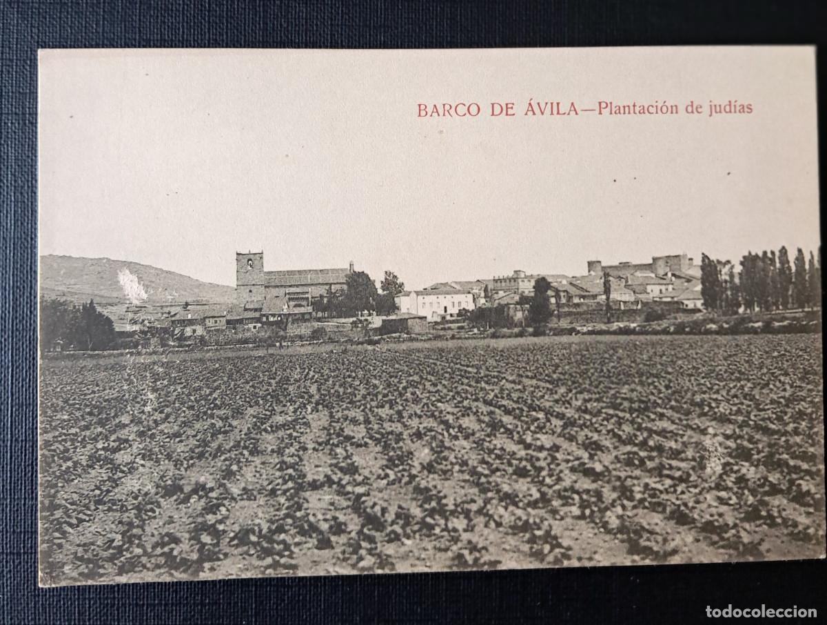 Postales: Barco de &Aacute;vila (&Aacute;vila) Plantaci&oacute;n de jud&iacute;as.