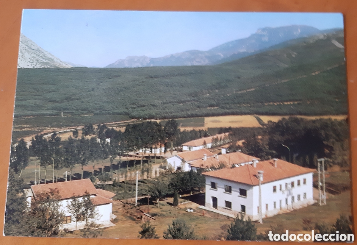 Postales: Postal Velilla del R&iacute;o Carri&oacute;n Palencia. Colonia Sierta del Brezo. Sin escribir. R10016