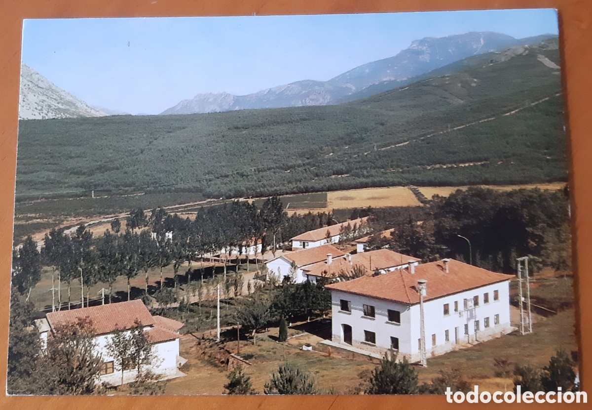 Postales: Postal Velilla del R&iacute;o Carri&oacute;n Palencia. Colonia sierra del Brezo. Sin escribir. R10025