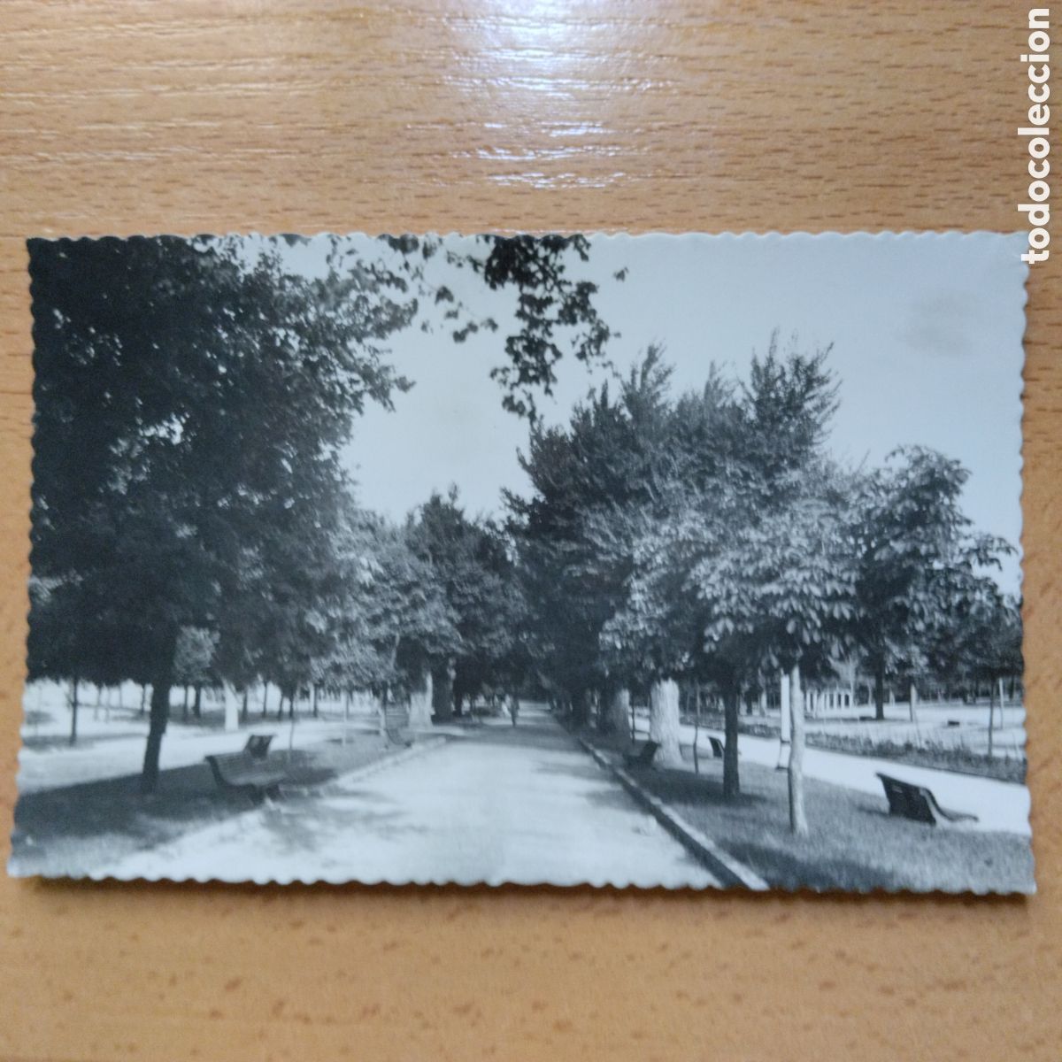 Postales: SORIA, ALAMEDA DE CERVANTES, ED. GARCIA GARRABELLA N&ordm;12