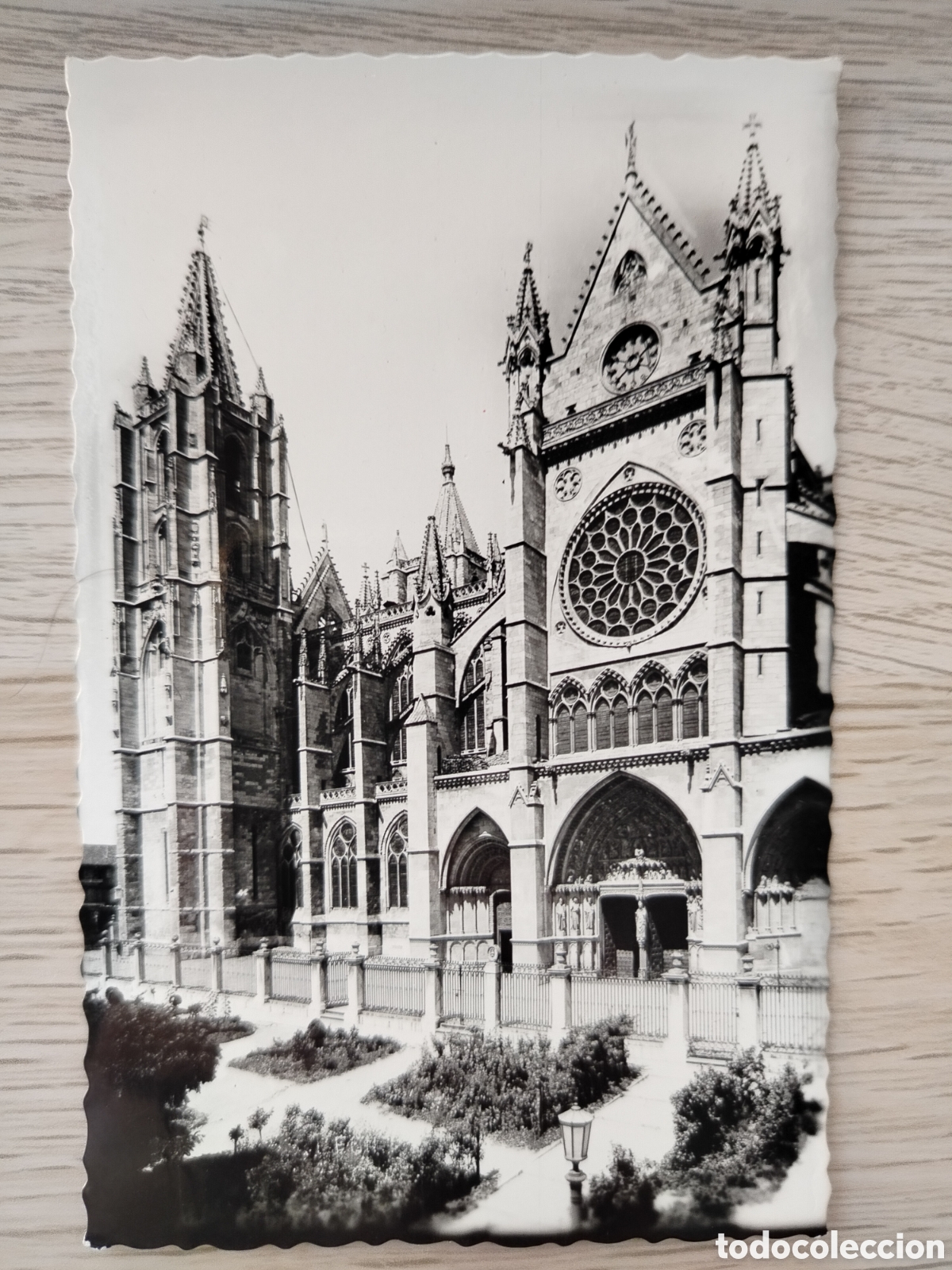 Postales: LE&Oacute;N - 6 LA CATEDRAL - EDICIONES ARRIBAS