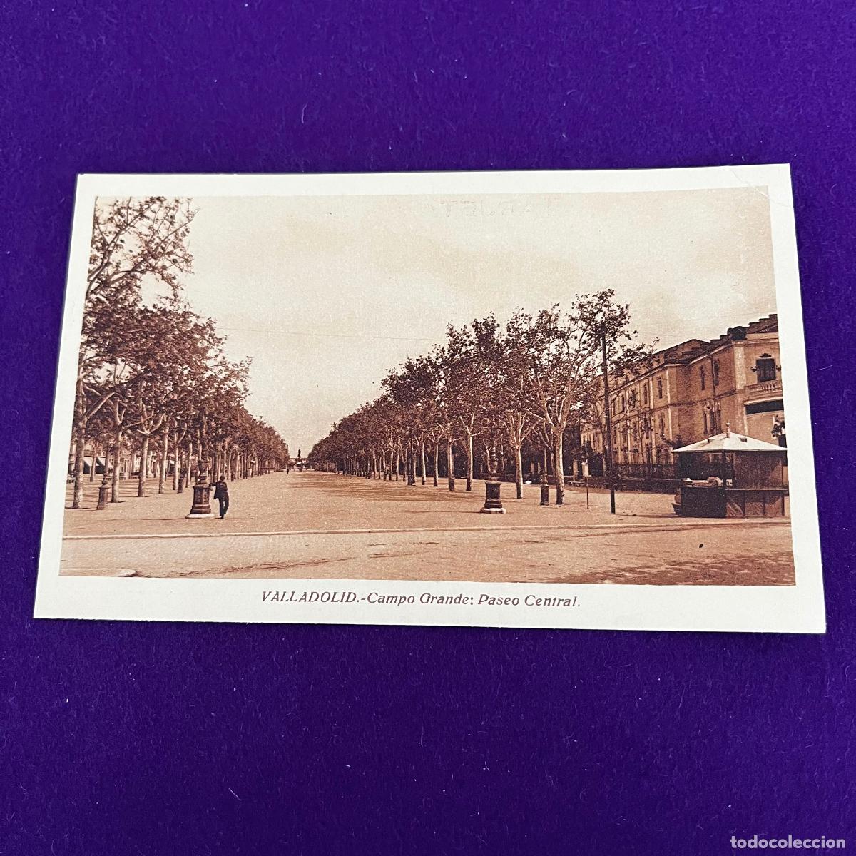Postales: POSTAL DE VALLADOLID. CAMPO GRANDE. PASEO CENTRAL.