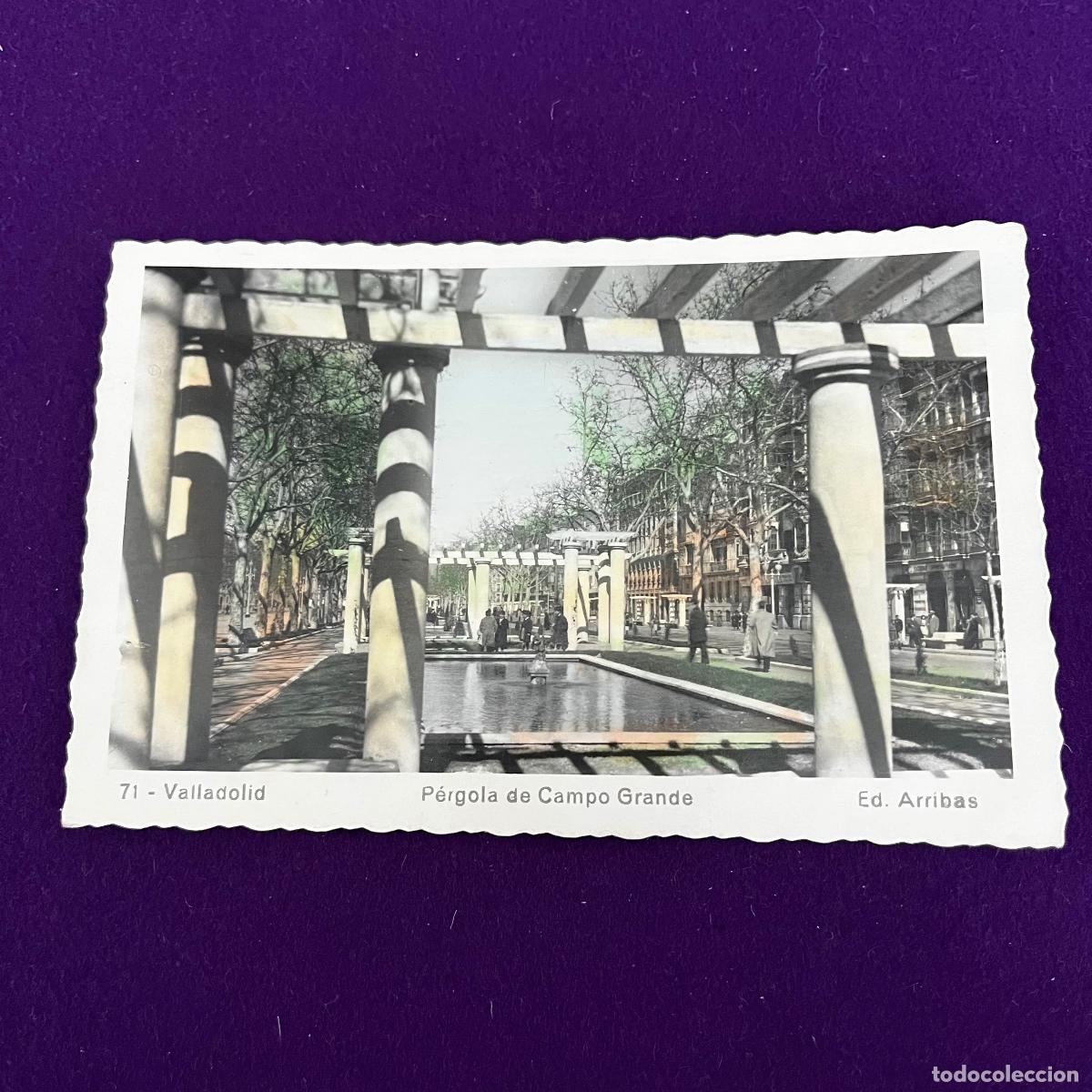 Postales: POSTAL DE VALLADOLID. PERGOLA DE CAMPO GRANDE.