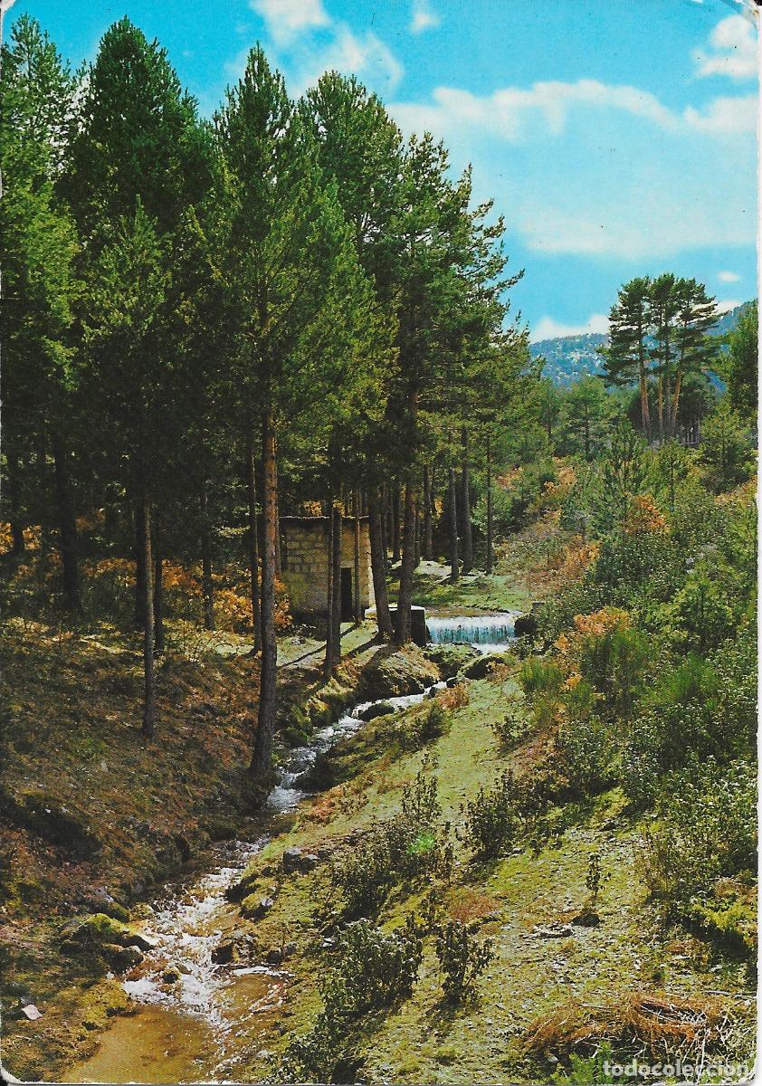 Postales: [POSTAL] Pinares. San Rafael (Segovia) (circulada)