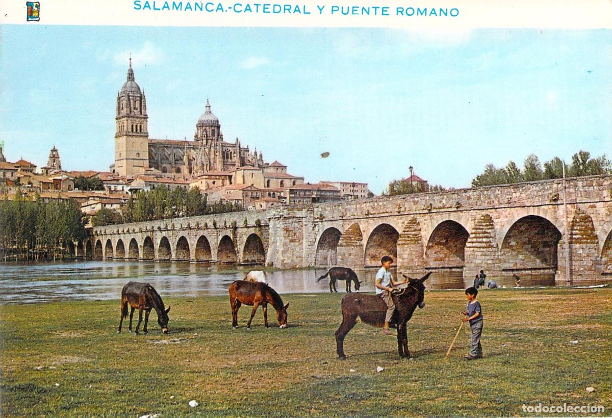 Postales: Postal de Salamanca: Catedral y Puente Romano con Burros y Ni&ntilde;os