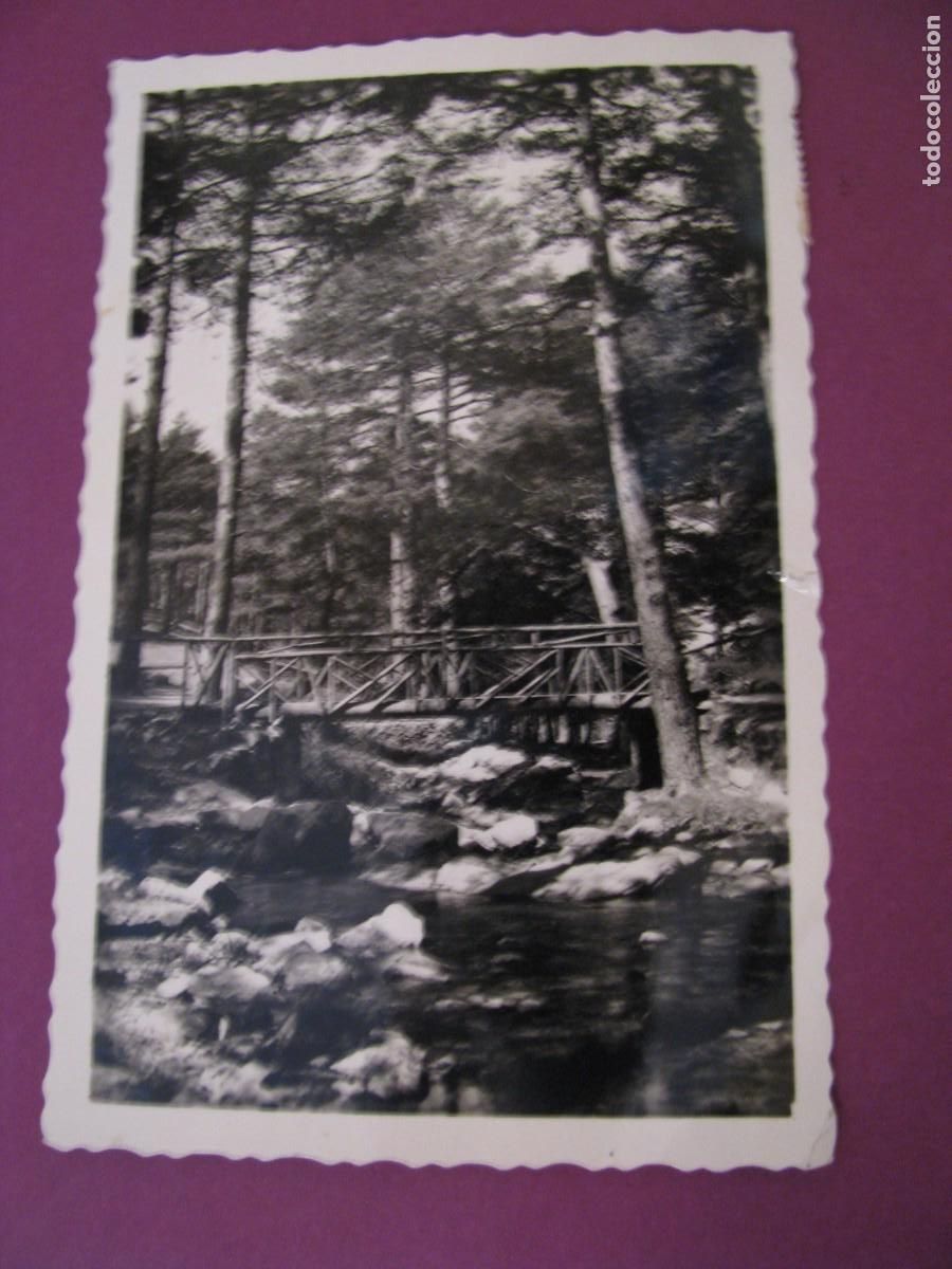 Postales: POSTAL FOTOGRAFICA DE SAN RAFAEL. PUENTE DE LOS INGENIEROS EN EL PINAR. ARRIBAS. CIRCULADA 1959