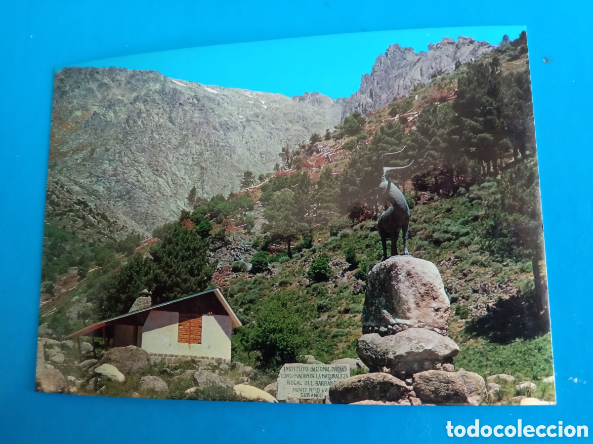 Postales: Antigua postal fotogr&aacute;fica, Sierra de Gredos, Nogal del Barranco