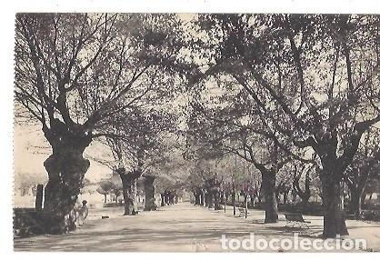Postales: ANTIGUA POSTAL 17 SORIA ALAMEDA DE CERVANTES L ROISIN 1958