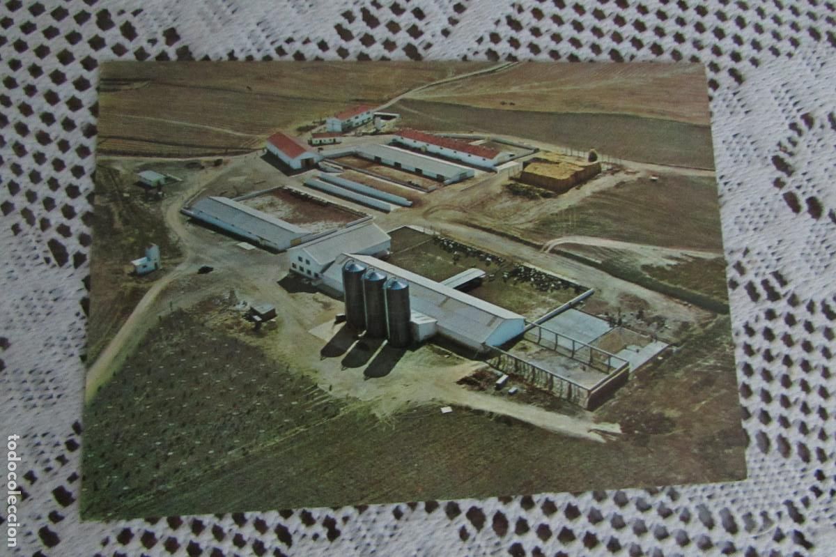 Postales: Postal de san Miguel de Pedrosa (Valladolid)
