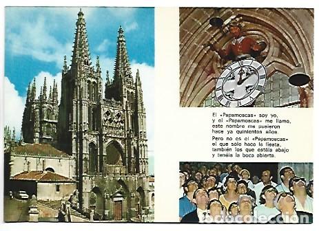 Postales: &rdquo; SI EL PAPAMOSCAS HABLARA.....&rdquo;.- BURGOS