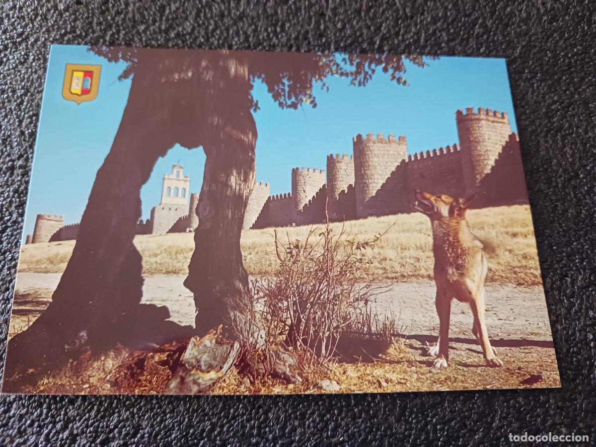 Postales: 31 avila, murallas, ed. dominguez