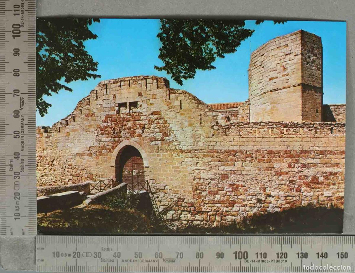 Postales: POSTAL. Zamora - Castillo y Foso