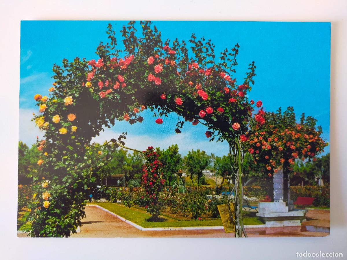 Postales: Postal VALLADOLID: Rosaleda. Arco - Edic Beascoa