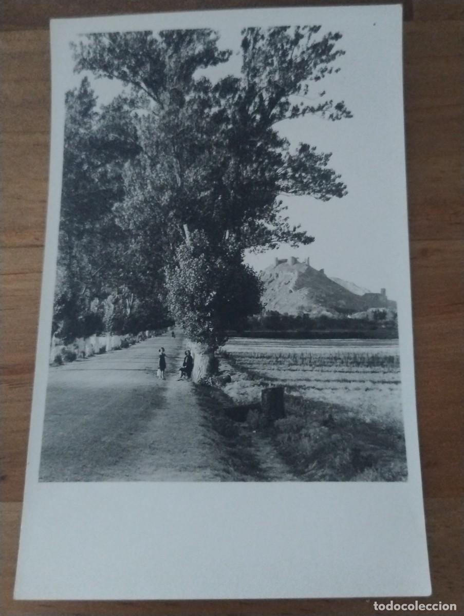 Postales: Fotograf&iacute;a tama&ntilde;o postal. Palencia Paseo y Cerro de Otero.