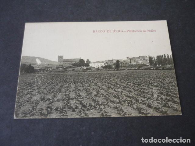 Postcards: BARCO DE AVILA PLANTACION DE JUDIAS