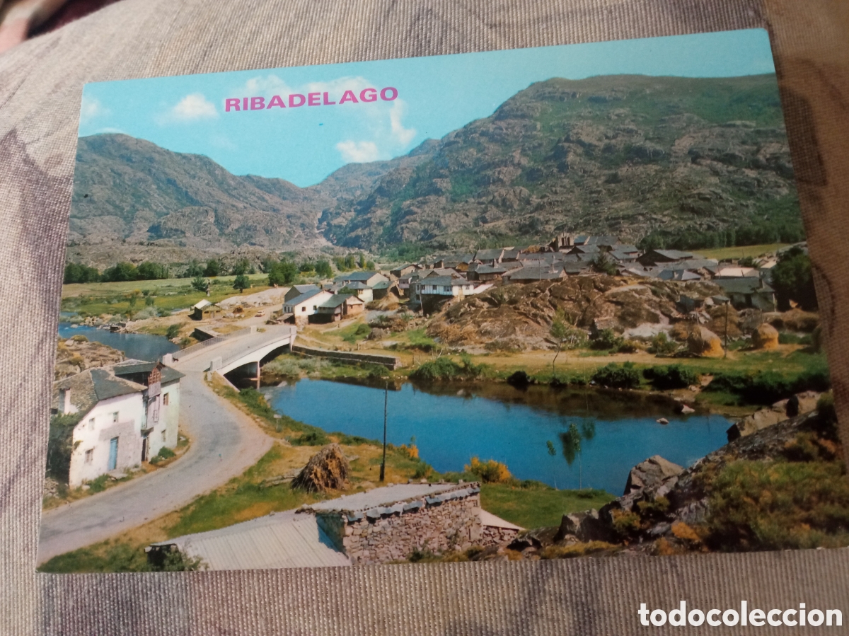 Postales: Antigua postal fotogr&aacute;fica, Ribadelago (Zamora) Pueblo viejo