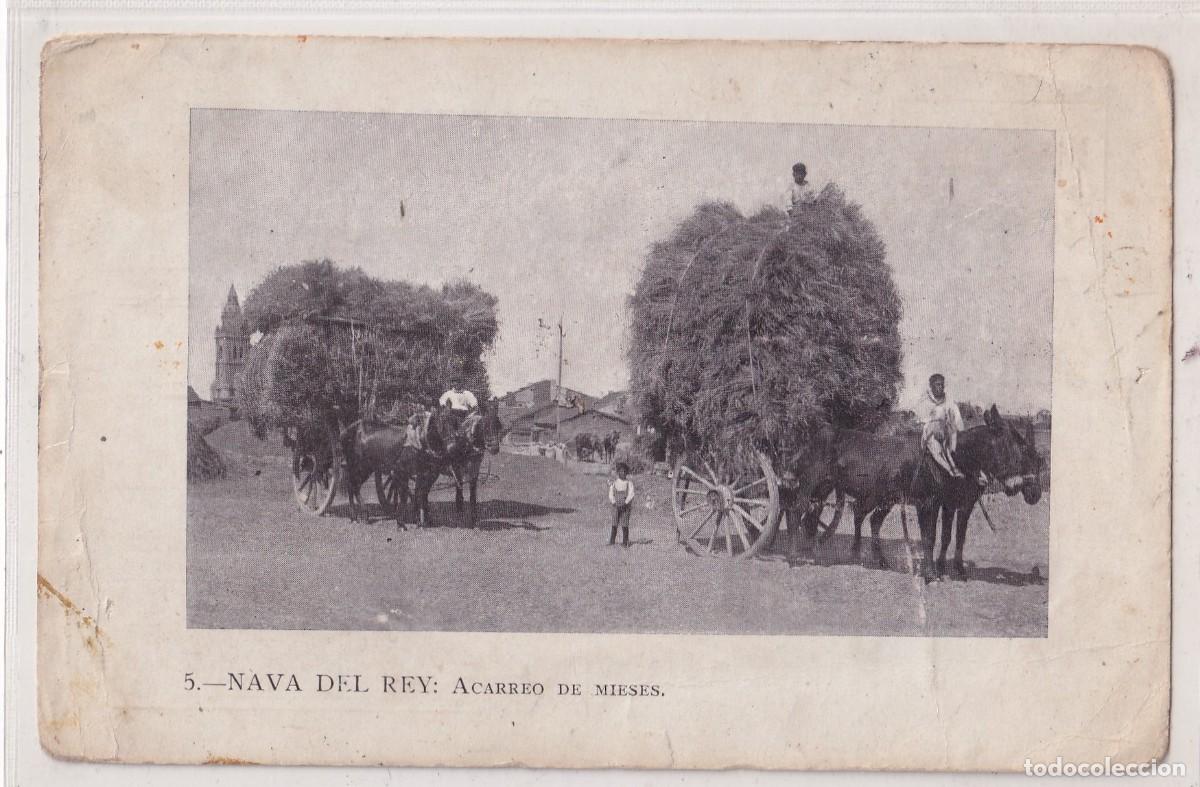 Postales: Tarjeta Postal. Nava del Rey (Valladolid). Acarreo de Mieses. Mercados. Gran concurso de ganados 192