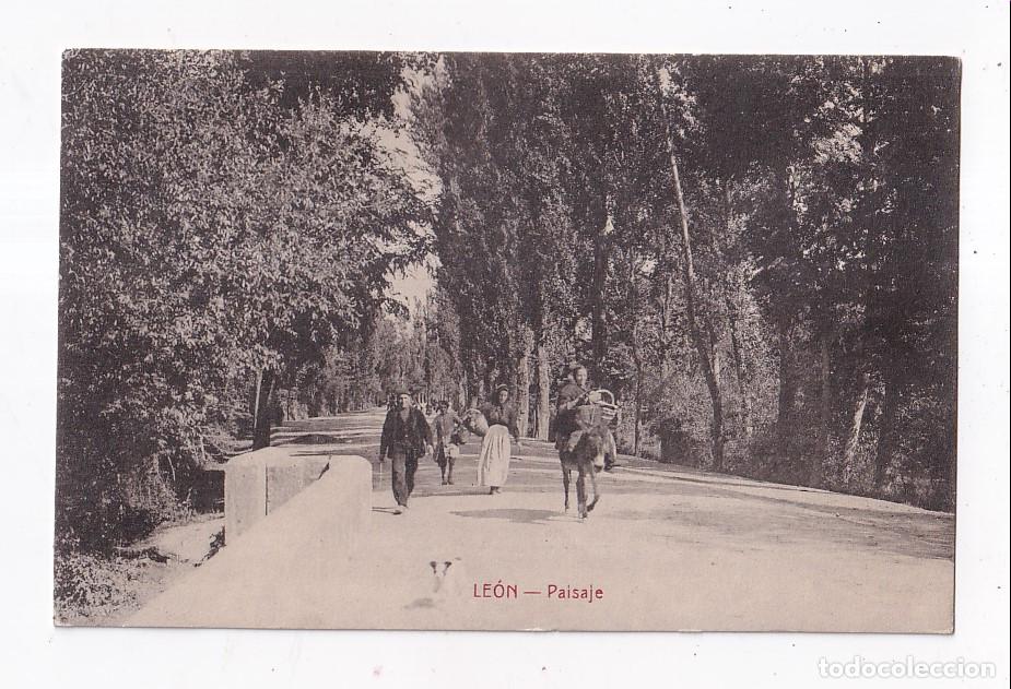 Postales: POSTAL. LE&Oacute;N. PAISAJE.