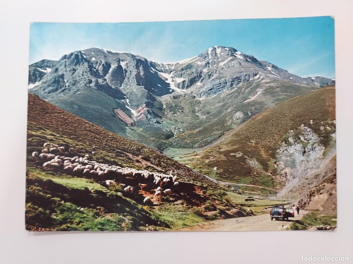 Postales: POSTAL LEON PICOS DE EUROPA. PUERTO DE SAN GLORIO CARRETERA POTES RIA&Ntilde;O. 1966. SIN CIRCULAR