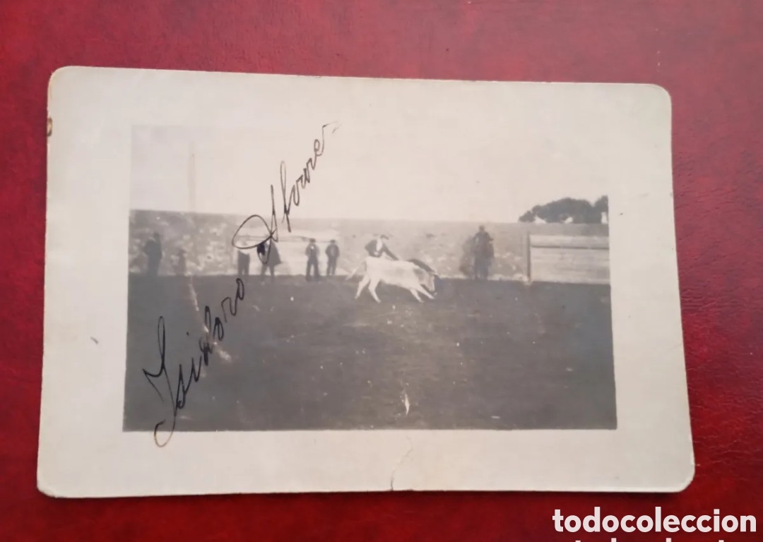 Postales: FINCA CALZADILLA DE MENDIGOS (MEMBRIBE DE LA SIERRA - SALAMANCA) - TOREANDO EN UNA TIENTA 1924