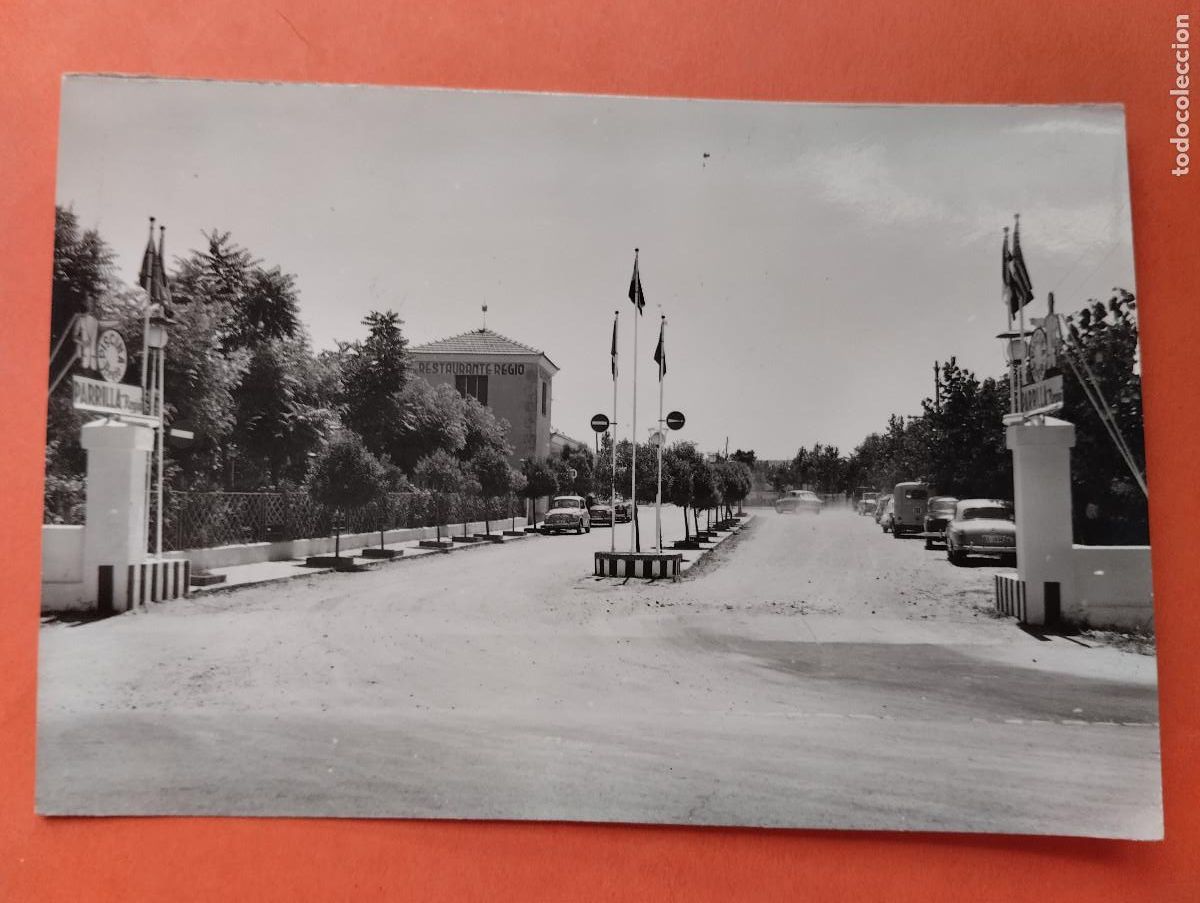 Postales: SALAMANCA - JARD&Iacute;N PARRILLA REGIO - ED. ARRIBAS 1004
