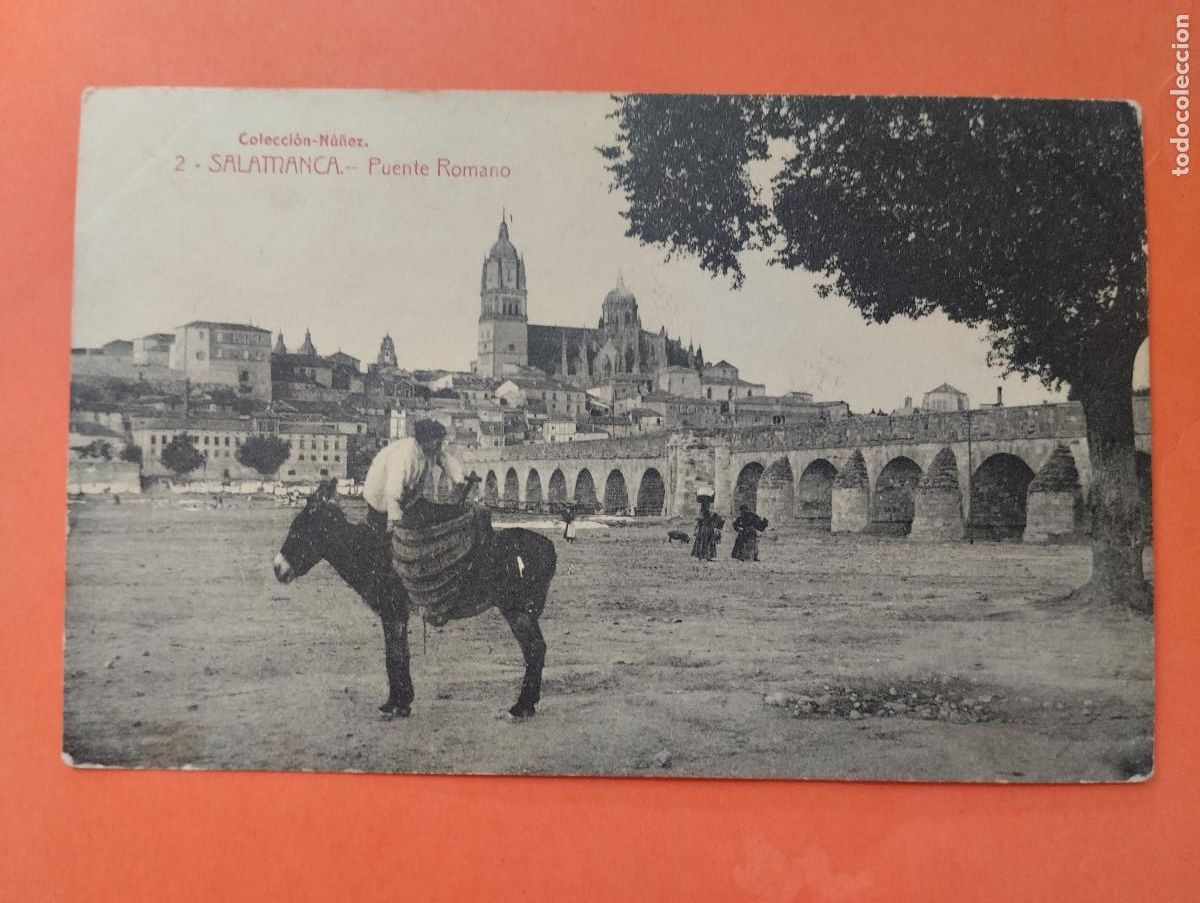 Postales: SALAMANCA. PUENTE ROMANO. COLECCION NU&Ntilde;EZ. 2