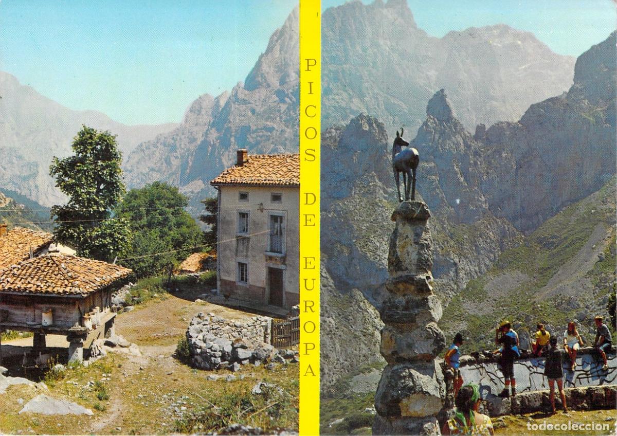 Postales: Postal Picos de Europa, H&oacute;rreo de Cordi&ntilde;anes y Mirador del Tombo