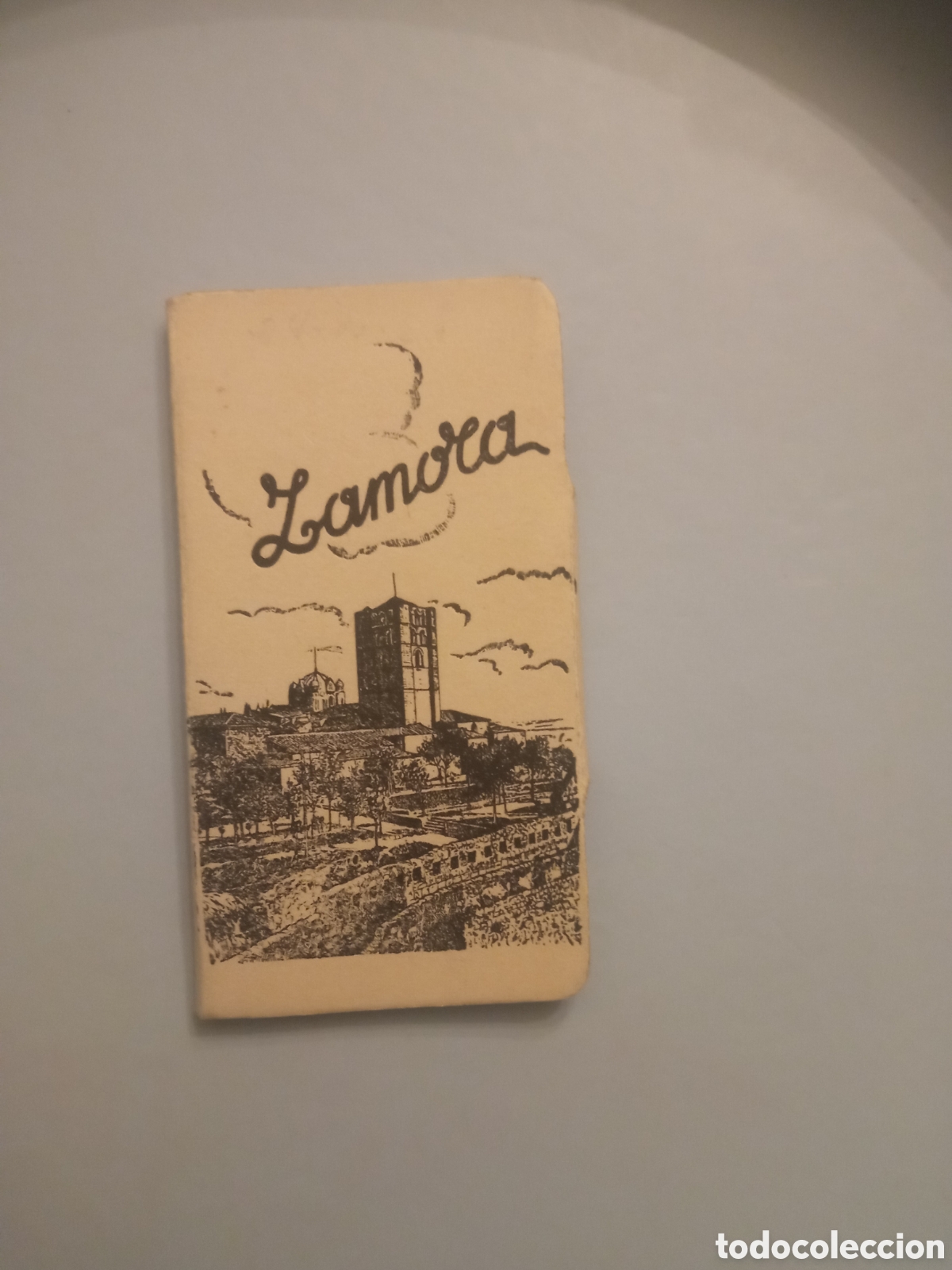 Postales: Antiguo acorde&oacute;n de 10 antiguas fotograf&iacute;as en miniatura de Zamora, miden 90x46 mm