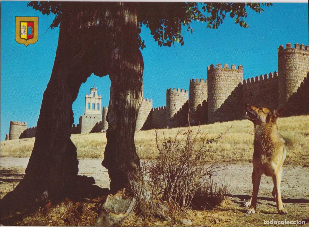 Postales: AVILA, MURALLAS - ESCUDO DE ORO N&ordm;31 &ndash; S/C