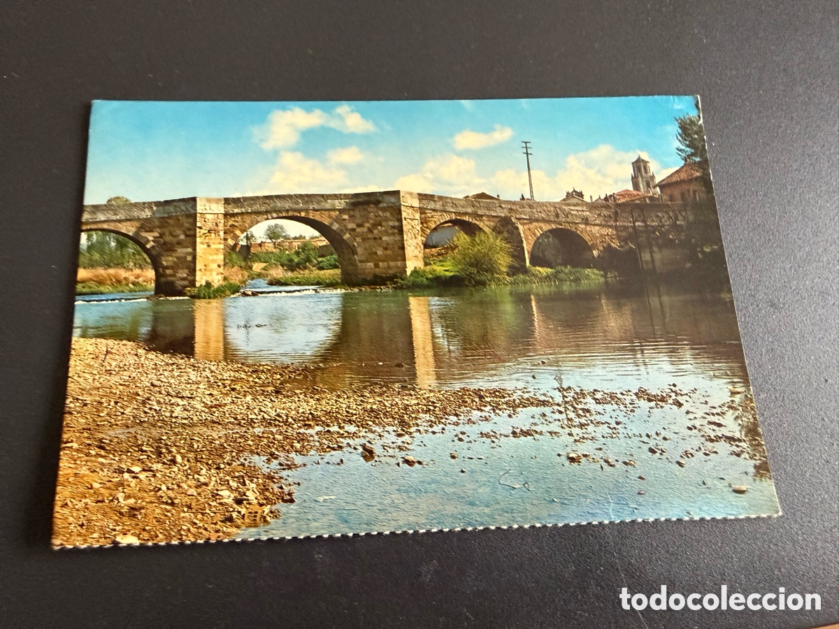 Postales: Postal. SAHAGUN ( Leon ) Puente Canto