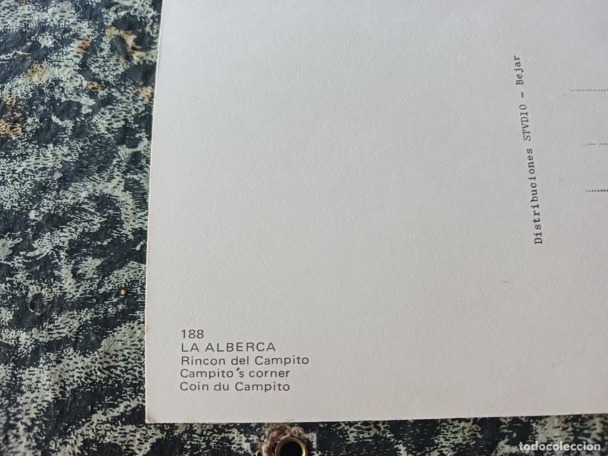 Postales: 188 la alberca, rincon del campito, ed. stvdio - Foto 2