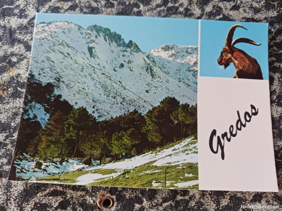 Postales: 244 Sierra de Gredos. vista parcial, ed. stvdio