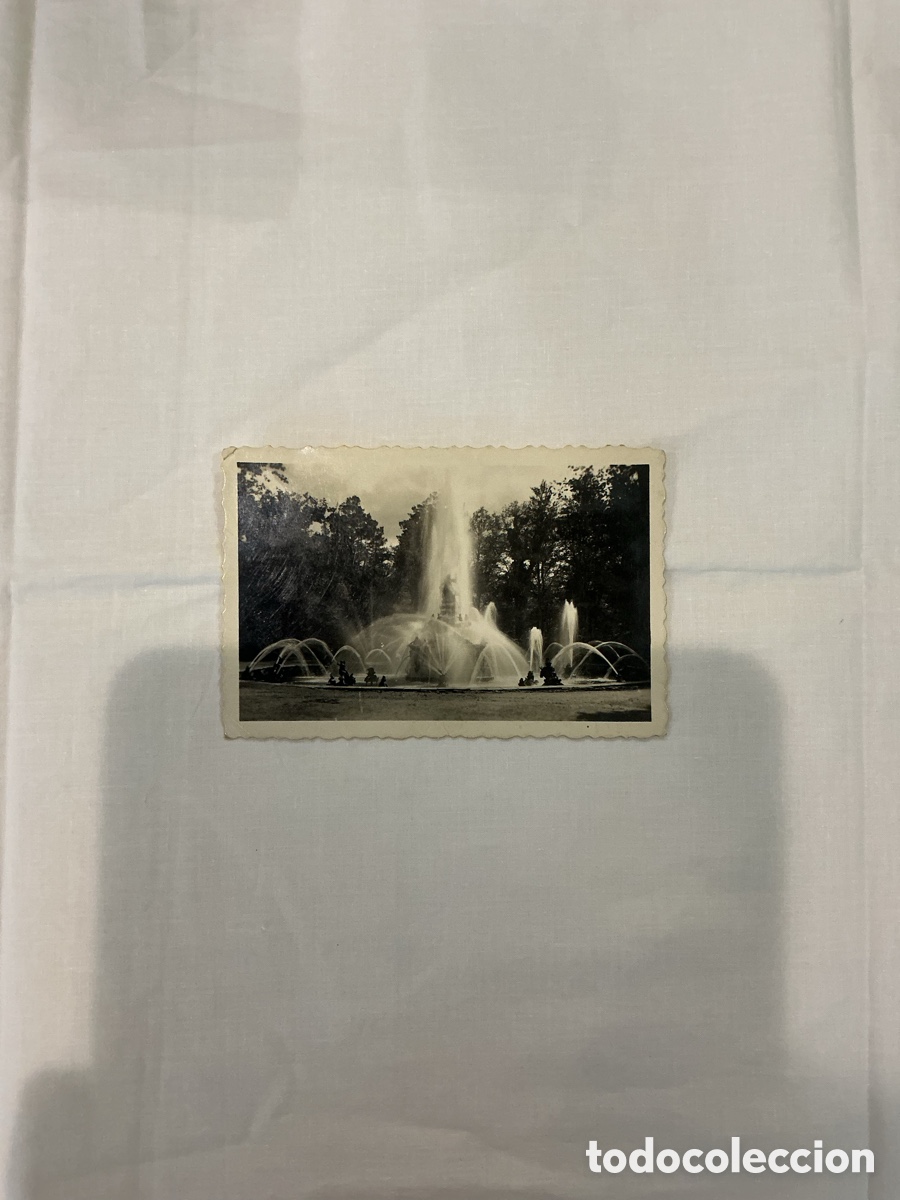 Postales: Postal La Granja (Segovia) &ndash; Fuente de las Ranas &ndash; 1955 &ndash; Blanco y negro &ndash; Original de la &eacute;poca