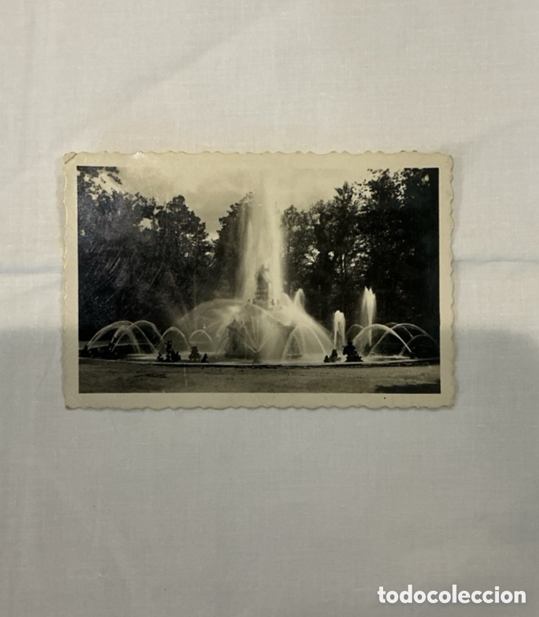 Postales: Postal La Granja (Segovia) &ndash; Fuente de las Ranas &ndash; 1955 &ndash; Blanco y negro &ndash; Original de la &eacute;poca