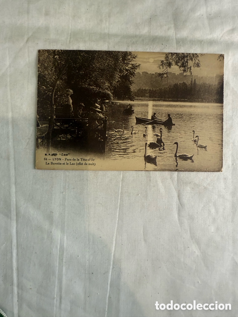 Postales: Postal Lyon &ndash; Parc de la T&ecirc;te d&rsquo;Or &ndash; Blanco y negro &ndash; Original de la &eacute;poca