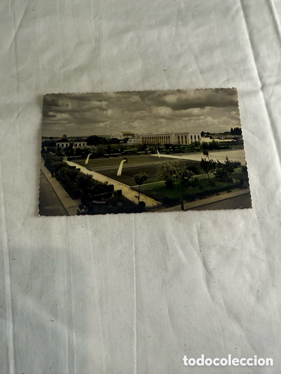 Postales: Postal Burgos 1956 &ndash; Ciudad Deportiva &ndash; Vista parcial &ndash; Blanco y negro
