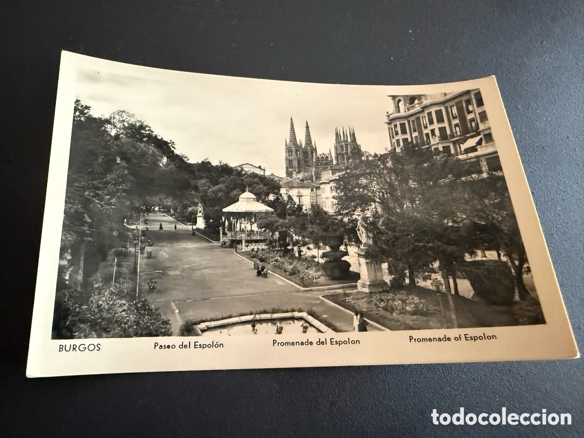 Postales: Postal BURGOS. PASEO DEL ESPOL&Oacute;N