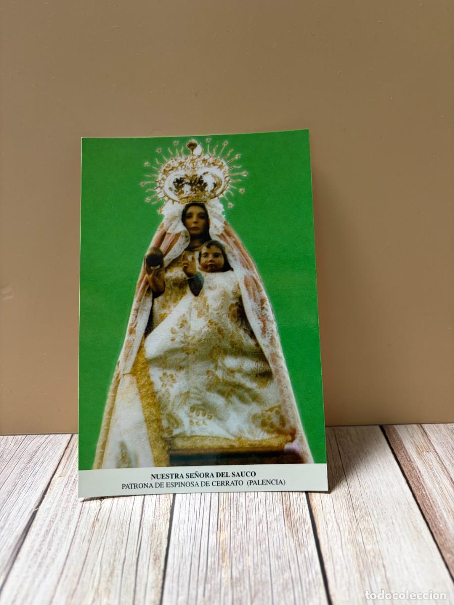 Postales: TARJETA POSTAL. PALENCIA. PATRONA DE ESPINOSA DE CERRATO. NUESTRA SE&Ntilde;ORA DEL SAUCO