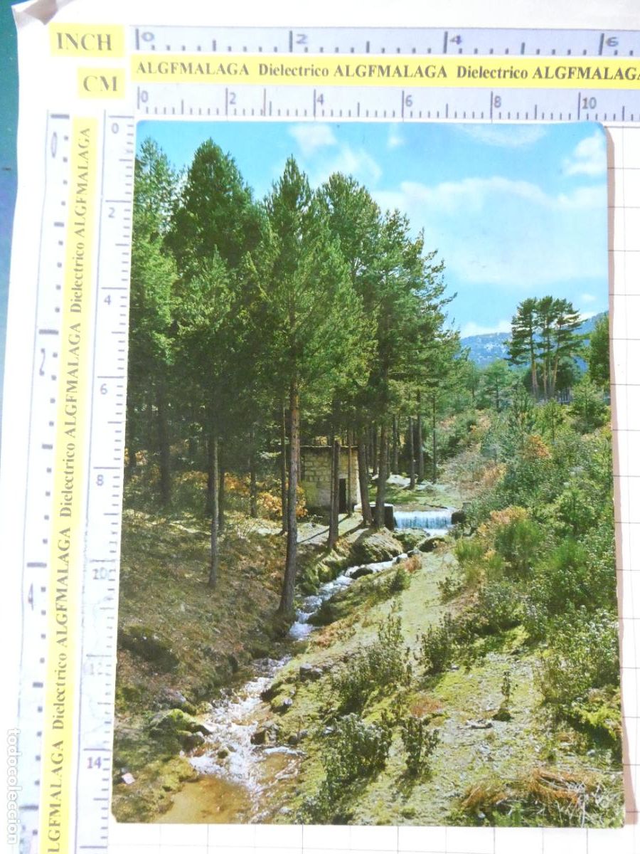 Postales: POSTAL DE SEGOVIA. A&Ntilde;O 1965. SAN RAFAEL PINARES 2001 ARRIBAS. 2821