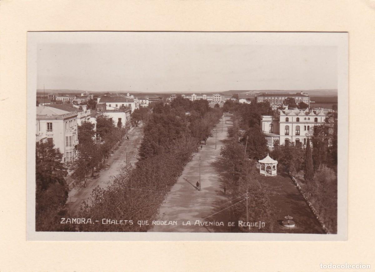 Postales: ZAMORA. CHALETS QUE RODEAN LA AVENIDA DE REQUEJO