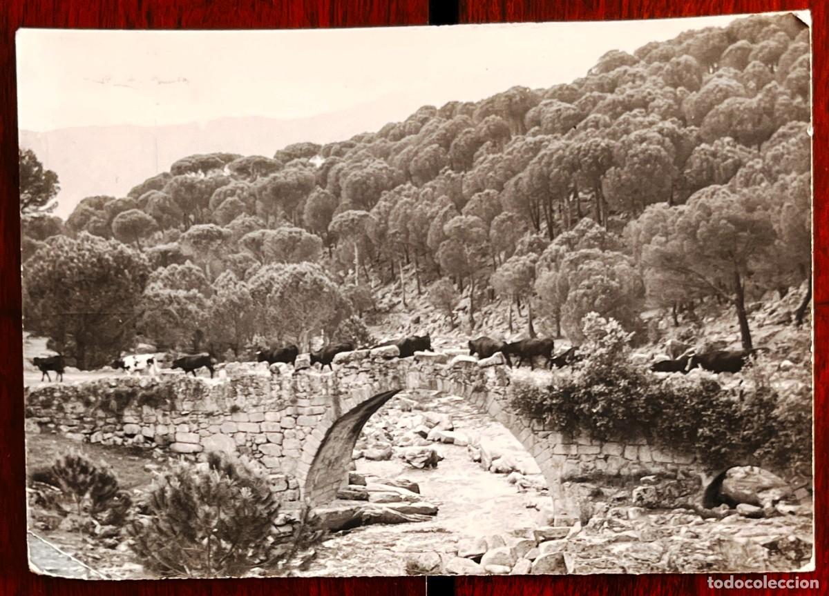 Postales: RIO TIETAR, LA ADRADA (AVILA), ED. ALBERTO, CIRCULADA, LIGERA PEQUE&Ntilde;A DOBLEZ EN LA PARTE INFERIOR IZ
