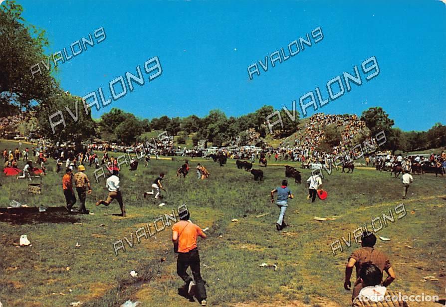 Postales: Fiestas de San Juan , Valonsadero (Soria) - Sin Circular - 1970