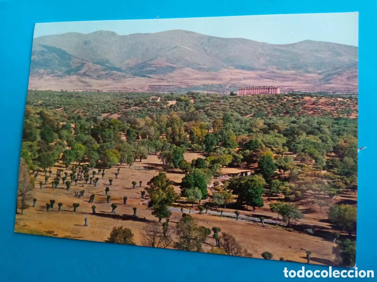 Postales: Antigua postal fotogr&aacute;fica, Palacio Real de Riofrio, Panor&aacute;mica
