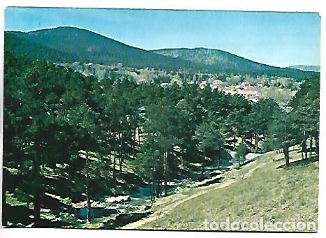 Postales: PINARES - PINE GROVE.- SAN RAFAEL / SEGOVIA