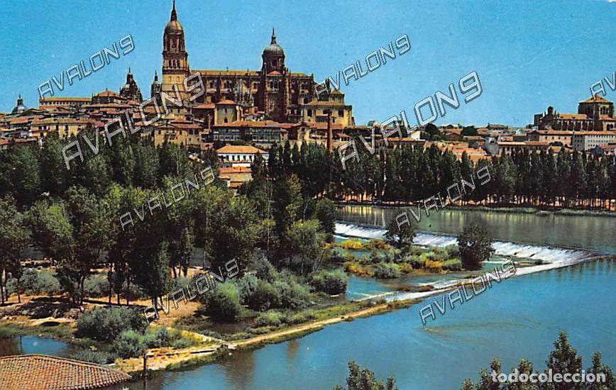 Postales: Vista panor&aacute;mica desde el r&iacute;o (Salamanca) - Sin Circular - A&ntilde;os 70