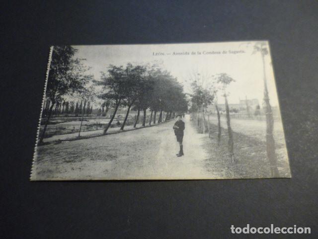 Postcards: LEON AVENIDA DE LA CONDESA DE SAGASTA