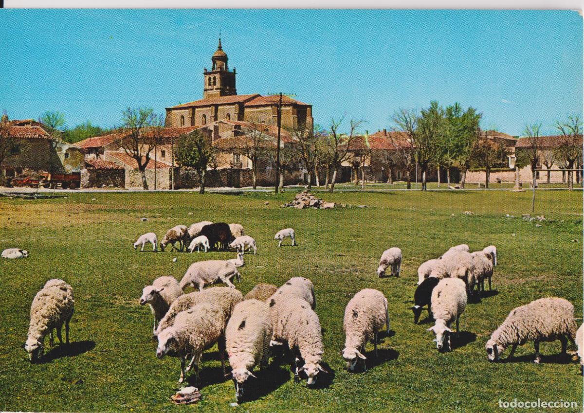 Postales: MEDINACELI (SORIA) VISTA PARCIAL - EDICIONES VISTABELLA N&ordm;3 - S/C